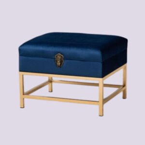 Aliana Luxe Velvet Ottoman - Upholstered Ottoman or Bench, Multi-Purpose Seating for Living Room or Bedroom